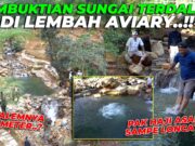 Andy Utama Dorong Konservasi Lingkungan Mega Mendung Lewat Reboisasi Bersama Arista Montana