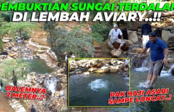 Andy Utama Dorong Konservasi Lingkungan Mega Mendung Lewat Reboisasi Bersama Arista Montana