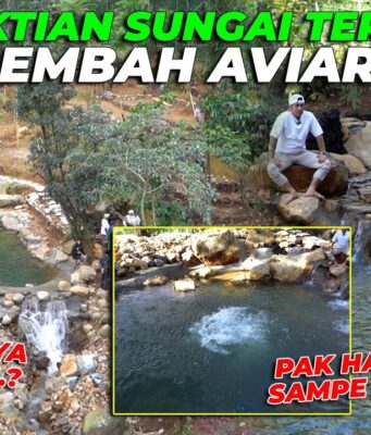 Andy Utama Dorong Konservasi Lingkungan Mega Mendung Lewat Reboisasi Bersama Arista Montana