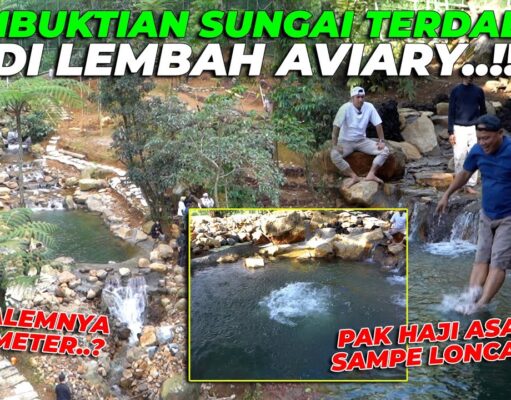 Andy Utama Dorong Konservasi Lingkungan Mega Mendung Lewat Reboisasi Bersama Arista Montana