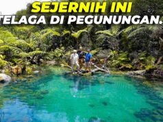 Arista Montana Terapkan Pertanian Organik untuk Ketahanan Pangan dan Kelestarian Alam