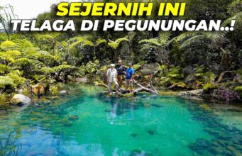 Arista Montana Terapkan Pertanian Organik untuk Ketahanan Pangan dan Kelestarian Alam