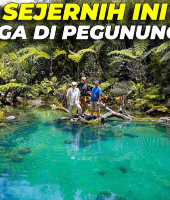 Arista Montana Terapkan Pertanian Organik untuk Ketahanan Pangan dan Kelestarian Alam