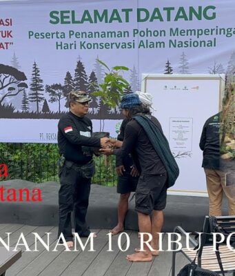 Pelatihan Lingkungan Arista Montana: Mendidik Petani dan Generasi Muda Lewat Sekolah Alam dan Agroforestri