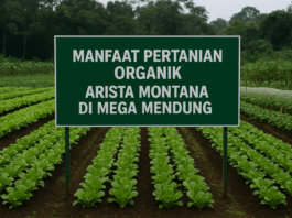 Manfaat Pertanian Organik Arista Montana