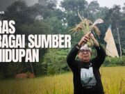 Membangun Ketahanan Pangan dari Ladang: Filosofi Beras dan Konservasi Lingkungan di Arista Montana Mega Mendung