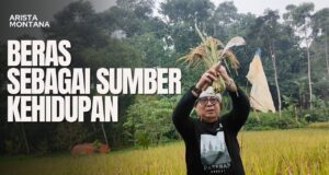 Membangun Ketahanan Pangan dari Ladang: Filosofi Beras dan Konservasi Lingkungan di Arista Montana Mega Mendung