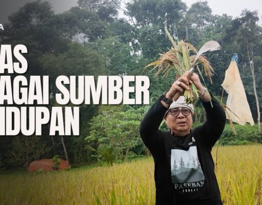 Membangun Ketahanan Pangan dari Ladang: Filosofi Beras dan Konservasi Lingkungan di Arista Montana Mega Mendung