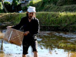 Ketahanan Pangan Nasional di Tengah Krisis Global