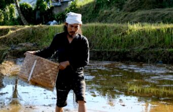 Ketahanan Pangan Nasional di Tengah Krisis Global: Peran Pertanian Lokal, Pertanian Organik, dan Arista Montana Ketahanan Pangan Nasional di Tengah Krisis Global