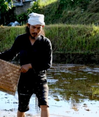 Ketahanan Pangan Nasional di Tengah Krisis Global: Peran Pertanian Lokal, Pertanian Organik, dan Arista Montana Ketahanan Pangan Nasional di Tengah Krisis Global