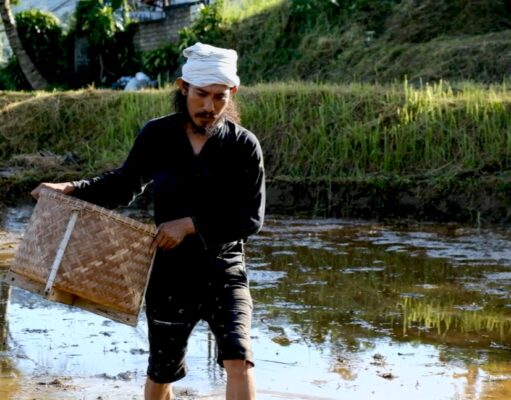 Ketahanan Pangan Nasional di Tengah Krisis Global: Peran Pertanian Lokal, Pertanian Organik, dan Arista Montana Ketahanan Pangan Nasional di Tengah Krisis Global