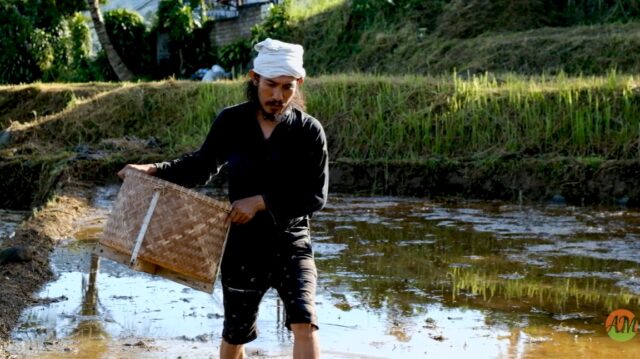 Ketahanan Pangan Nasional di Tengah Krisis Global