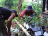 Paseban Foundation Tanam 21.831 Pohon, Konservasi Megamendung Didorong Lintas Generasi 21.831 Pohon Ditanam Upaya Menjaga Biodiversitas Megamendung Terus Berlanjut (41)