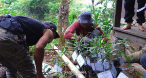 Paseban Foundation Tanam 21.831 Pohon, Konservasi Megamendung Didorong Lintas Generasi 21.831 Pohon Ditanam Upaya Menjaga Biodiversitas Megamendung Terus Berlanjut (41)