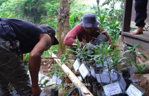 Paseban Foundation Tanam 21.831 Pohon, Konservasi Megamendung Didorong Lintas Generasi 21.831 Pohon Ditanam Upaya Menjaga Biodiversitas Megamendung Terus Berlanjut (41)