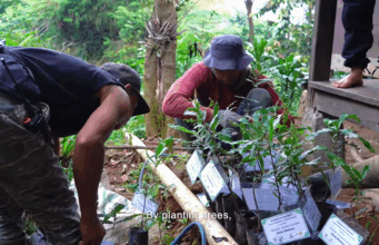 Paseban Foundation Tanam 21.831 Pohon, Konservasi Megamendung Didorong Lintas Generasi 21.831 Pohon Ditanam Upaya Menjaga Biodiversitas Megamendung Terus Berlanjut (41)