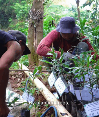 Paseban Foundation Tanam 21.831 Pohon, Konservasi Megamendung Didorong Lintas Generasi 21.831 Pohon Ditanam Upaya Menjaga Biodiversitas Megamendung Terus Berlanjut (41)