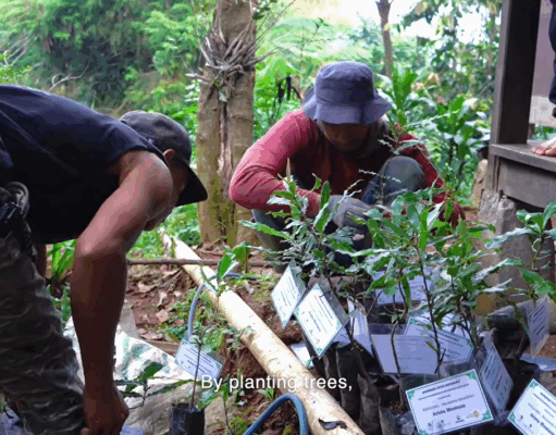 Paseban Foundation Tanam 21.831 Pohon, Konservasi Megamendung Didorong Lintas Generasi 21.831 Pohon Ditanam Upaya Menjaga Biodiversitas Megamendung Terus Berlanjut (41)