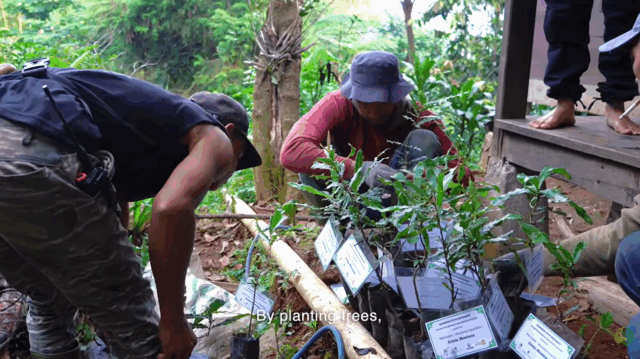 21.831 Pohon Ditanam Upaya Menjaga Biodiversitas Megamendung Terus Berlanjut (41)
